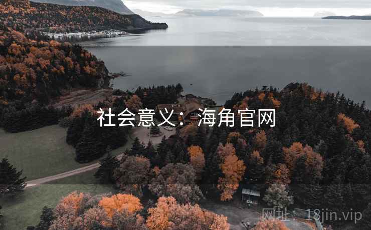 社会意义：海角官网
