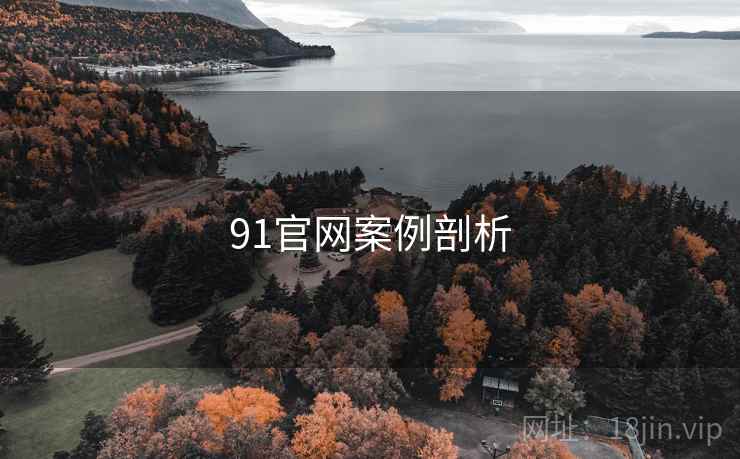91官网案例剖析