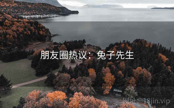 朋友圈热议：兔子先生